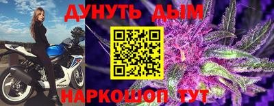 прущие грибы Будённовск