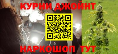 прущие грибы Будённовск