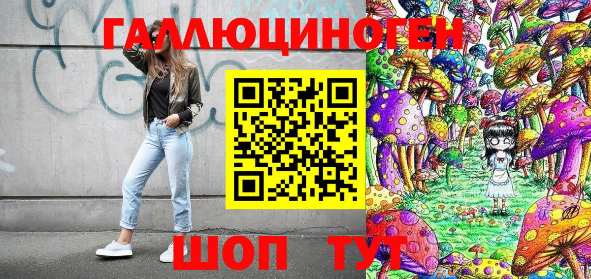 Братск  Галлюциногенные грибы Cubensis  Вход с VPN 